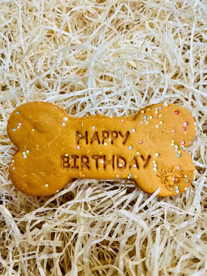 LargeBirthdayBoneBiscuitDogTreatLoose_00741312-49a5-4d84-b691-87dec50c3acf birthday bone