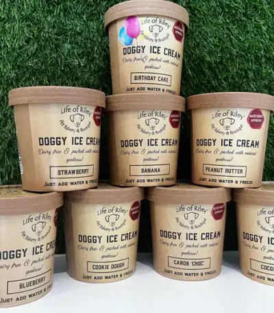 doggy ice cream