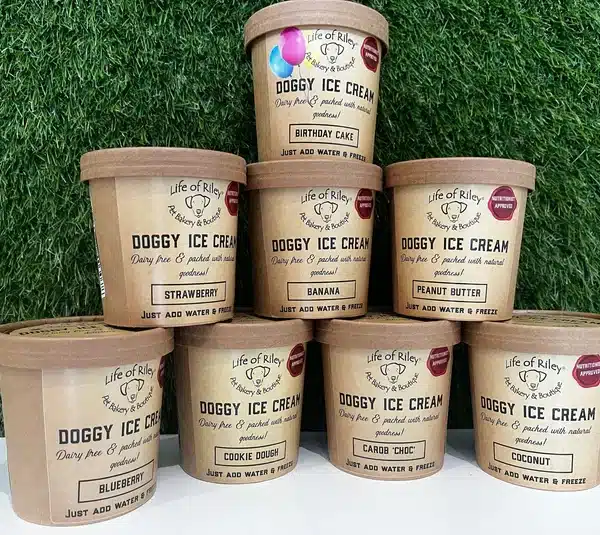 doggy ice cream