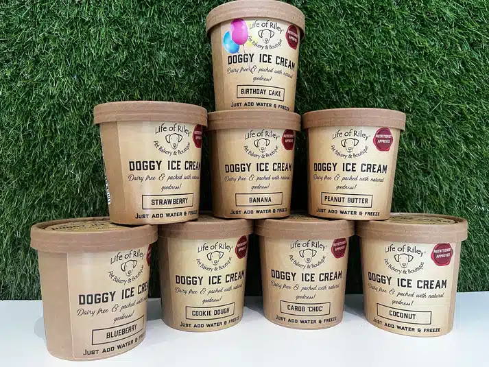 rsz_1img_4836 doggy ice cream