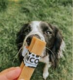 Anco Moo Chew Small - Image 2