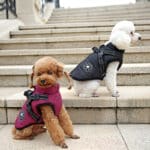 dog coat with harness two dogs