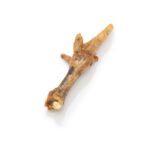 chicken feet