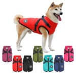 dog coat with harness all colours