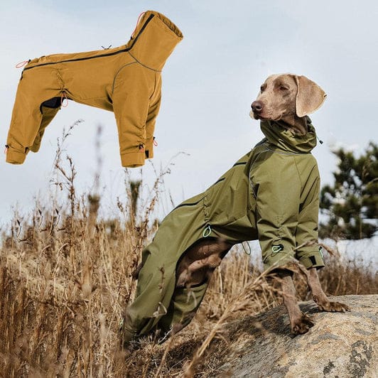 trouser suit