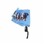 border collie umbrella