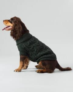 cable knit pullover green