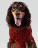 cable knit pullover red
