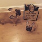 tote bag french bulldog