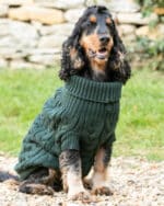 cable knit pullover green