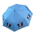 border collie umbrella