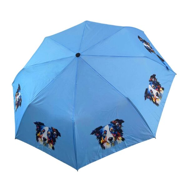 border collie umbrella
