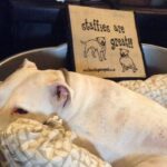tote bag staffie