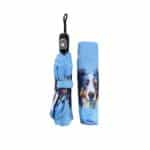 border collie umbrella