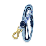 disney eeyore lead