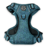 country teal harness