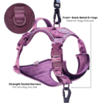harness plum