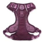 harness plum