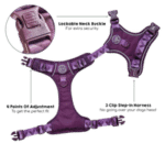 harness plum