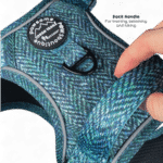 country teal harness